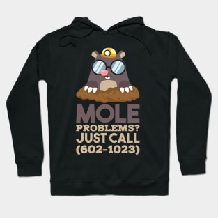 Chemistry - Mole Problems Hoodie